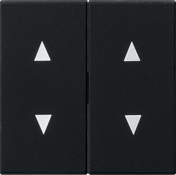 Gira Wippe 2t Jalousie schwarz mit System 55 1150005 div.Symbole