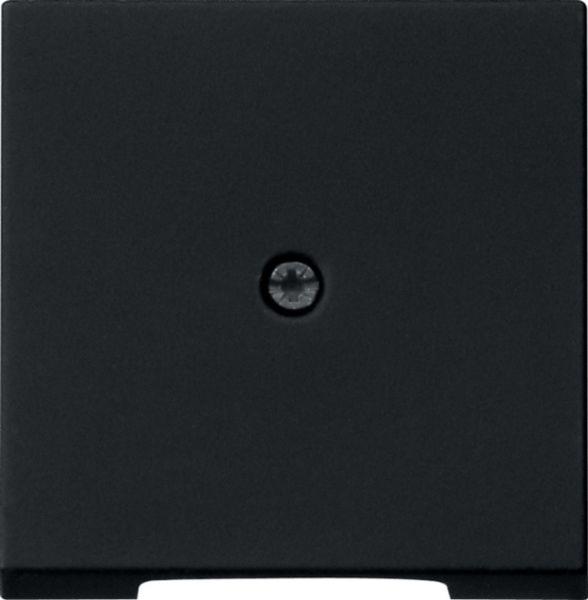 Gira Zentralplatte schwarz Schraubbef mit System 55 0274005 ohne Beschriftungsfeld