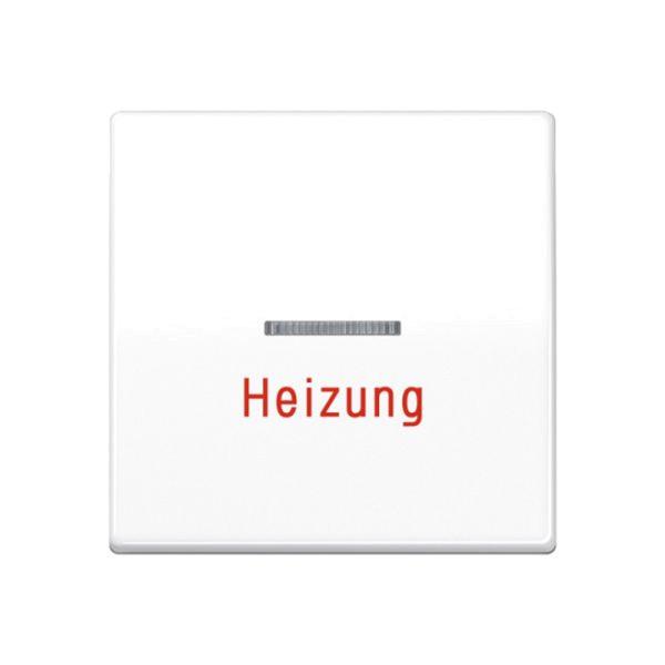 Jung Zentralplatte Schalter alpinweiß glänzend AS 591 H WW
